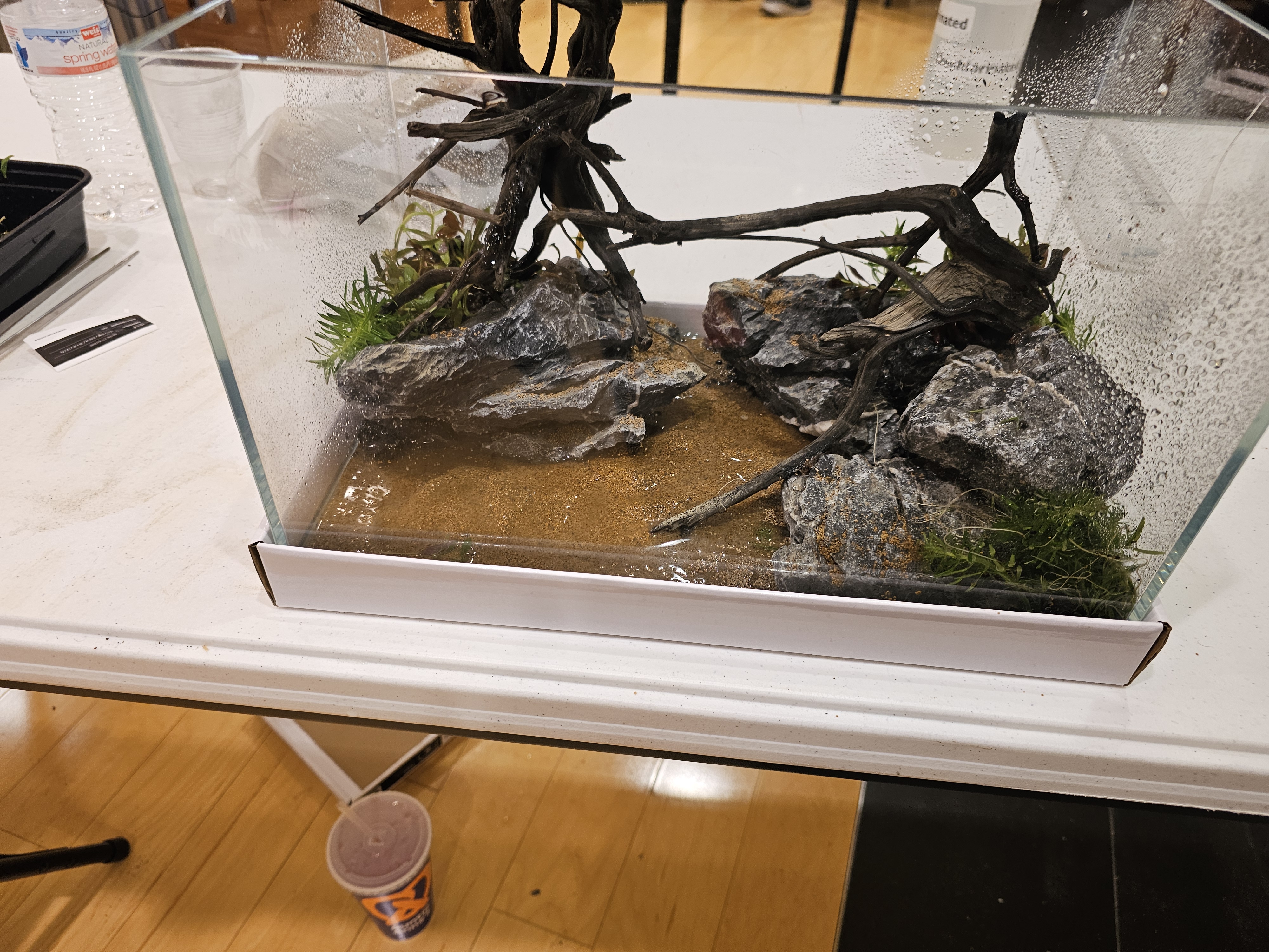 Full Custom Aquascape Builds — aquascape hardscape style by Qscapes