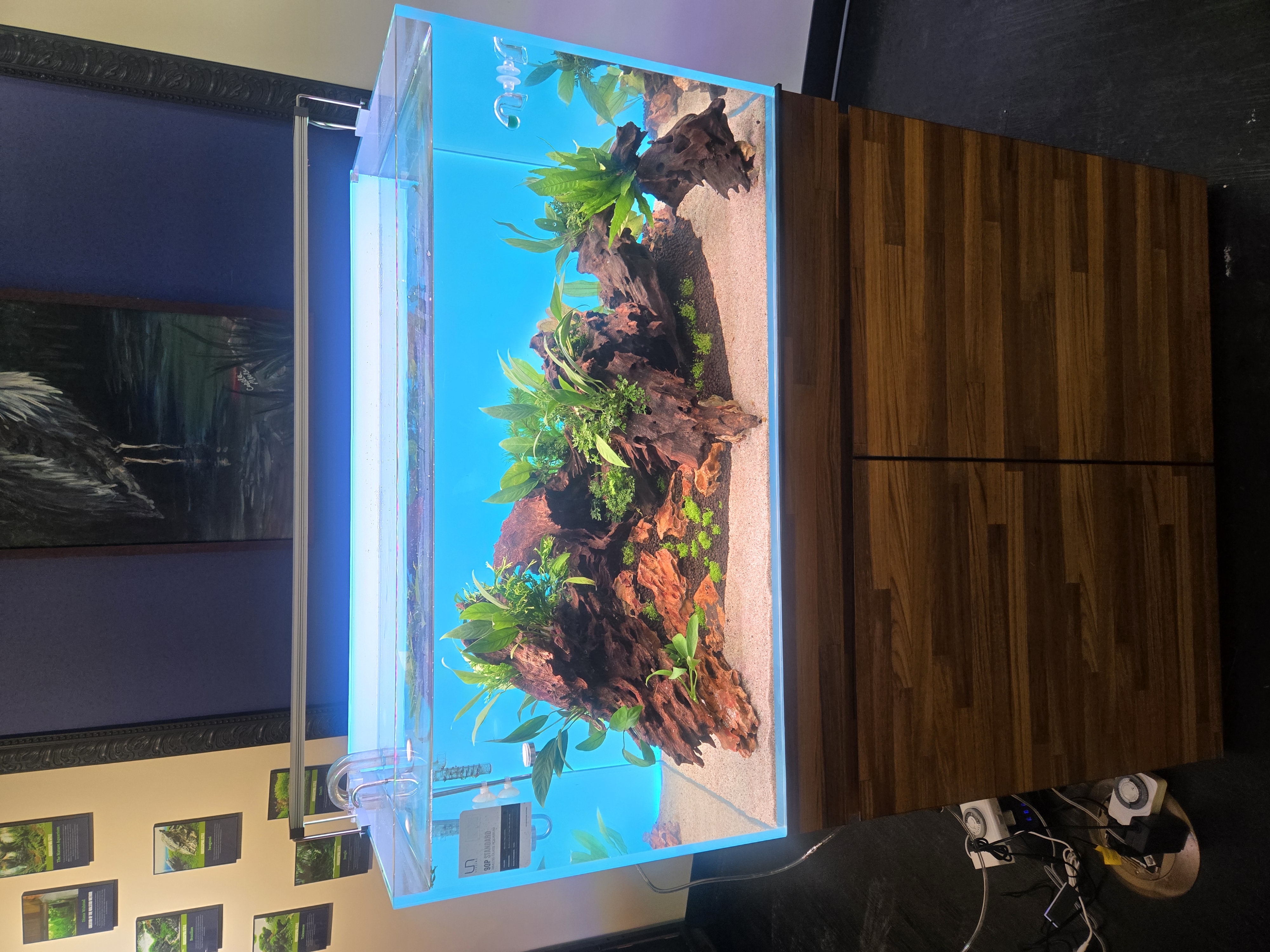 Qscapes aquascape example 2
